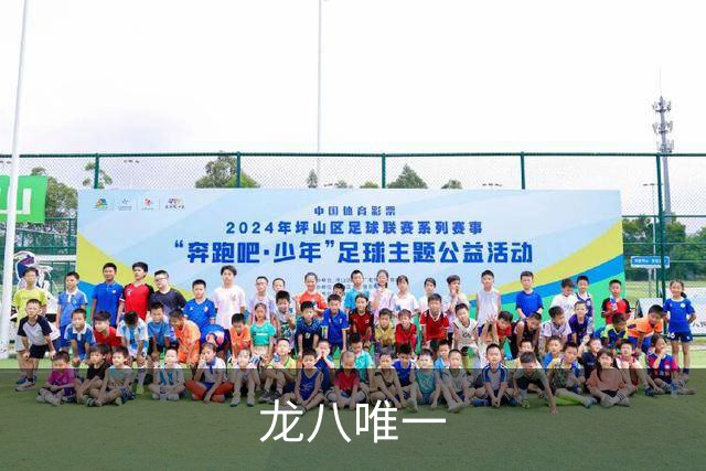 专业龙八唯一平台