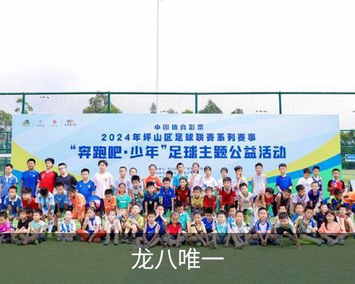 龙八唯一体育的故事 